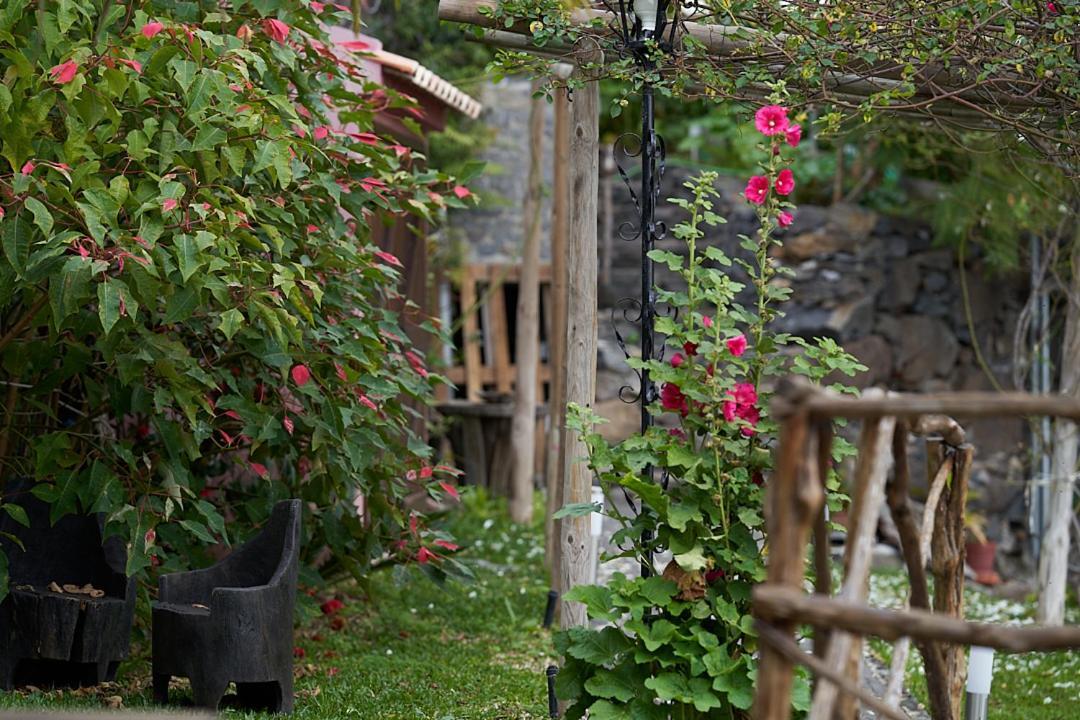 Ga281 Villa Funchal  Ngoại thất bức ảnh